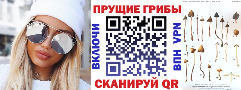 Галлюциногенные грибы ЛСД где можно купить наркотик Назрань
